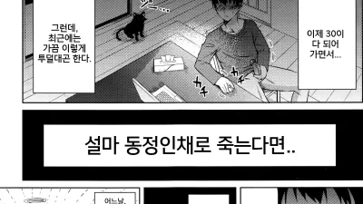 인간이 된 고양이