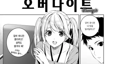 오버나이트