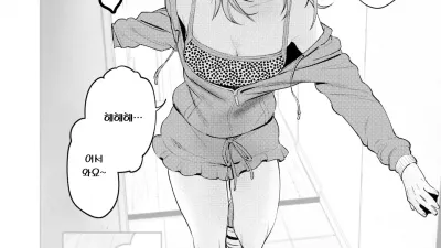 포메라니안과 발정기