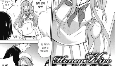 허니 하이브